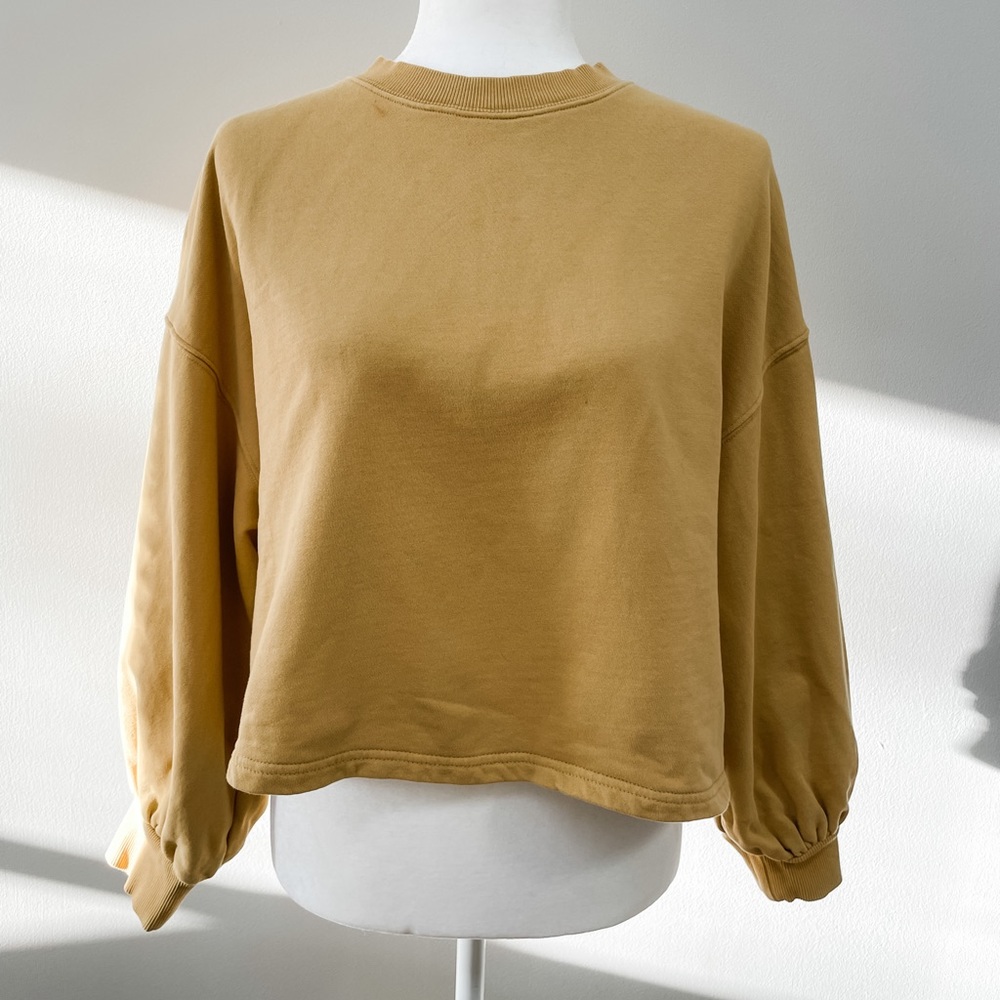 H&M Balloon Sleeve Crop Sweatshirt